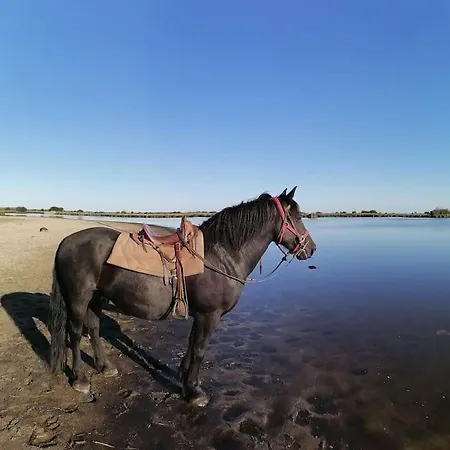 A Andre Des Eaux * Saint-André-des-Eaux