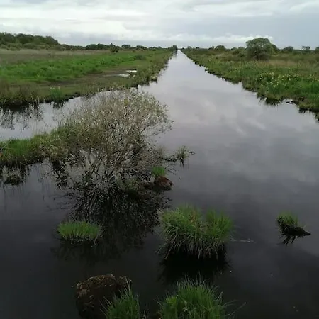 بيت للعطل A Andre Des Eaux Saint-André-des-Eaux