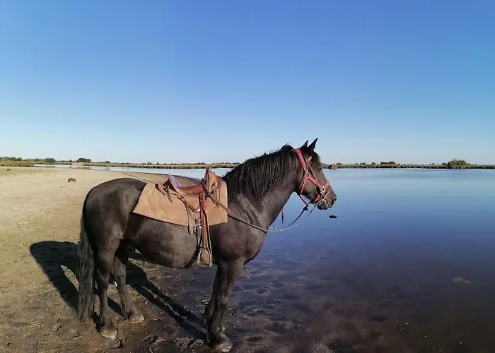 A Andre Des Eaux * Saint-André-des-Eaux